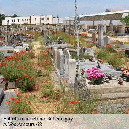 Entretien cimetière-7