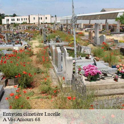 Entretien cimetière-7